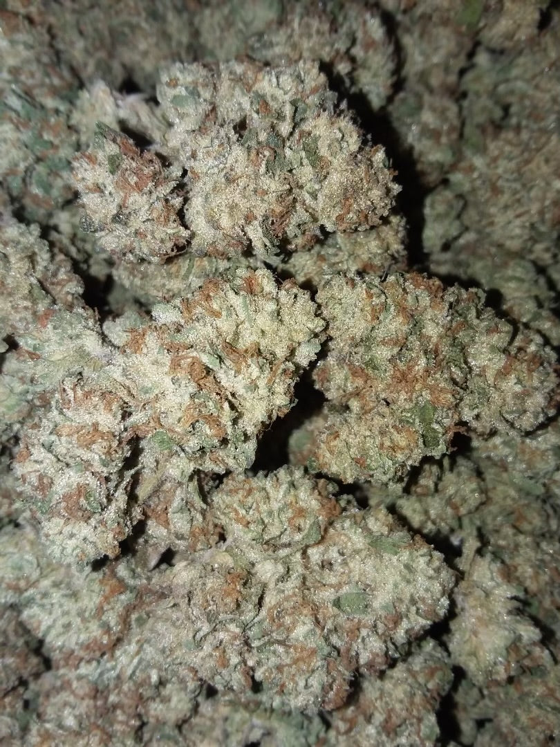 Cereal Milk