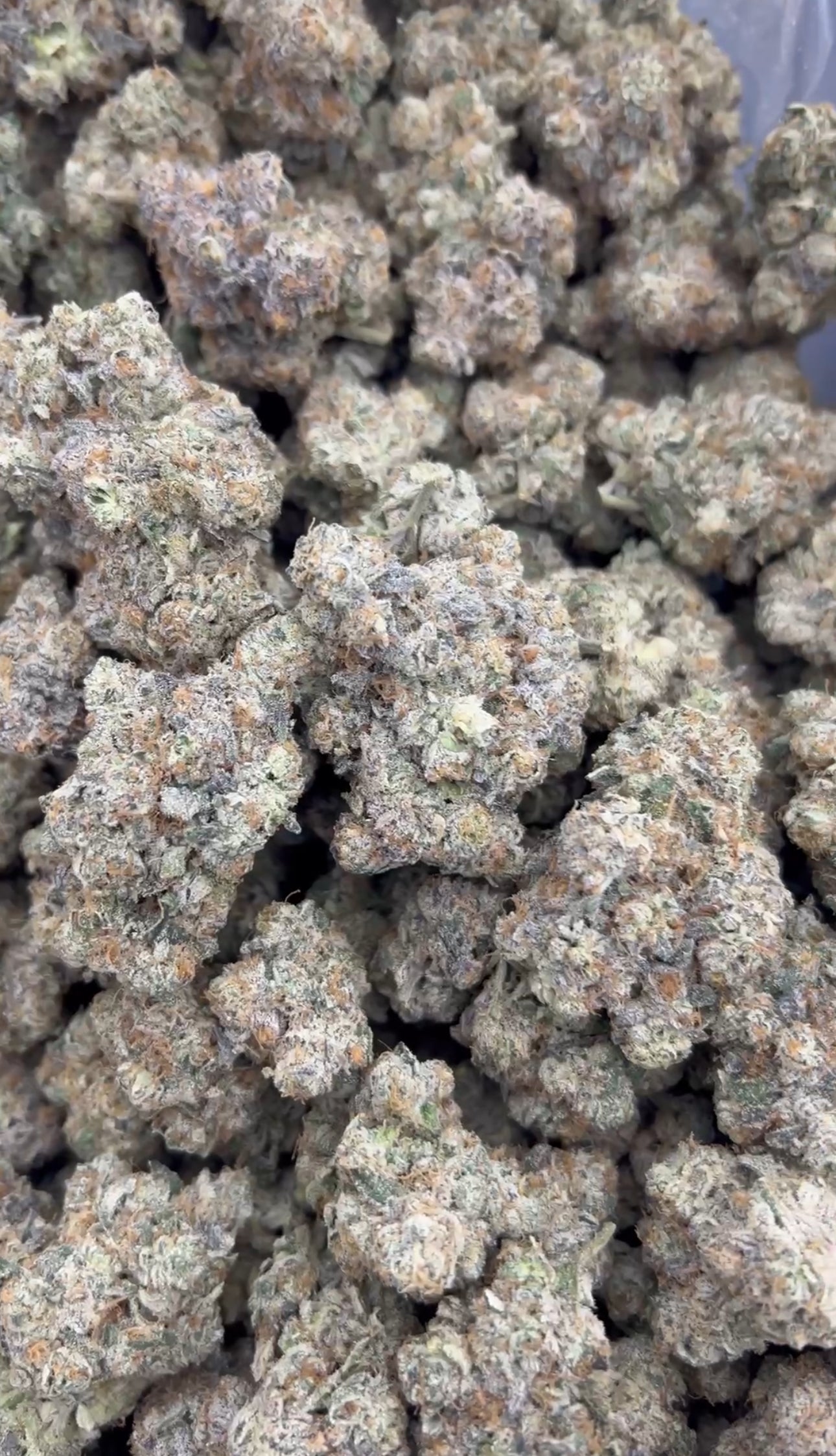 Indoor Skunk Kush 29g