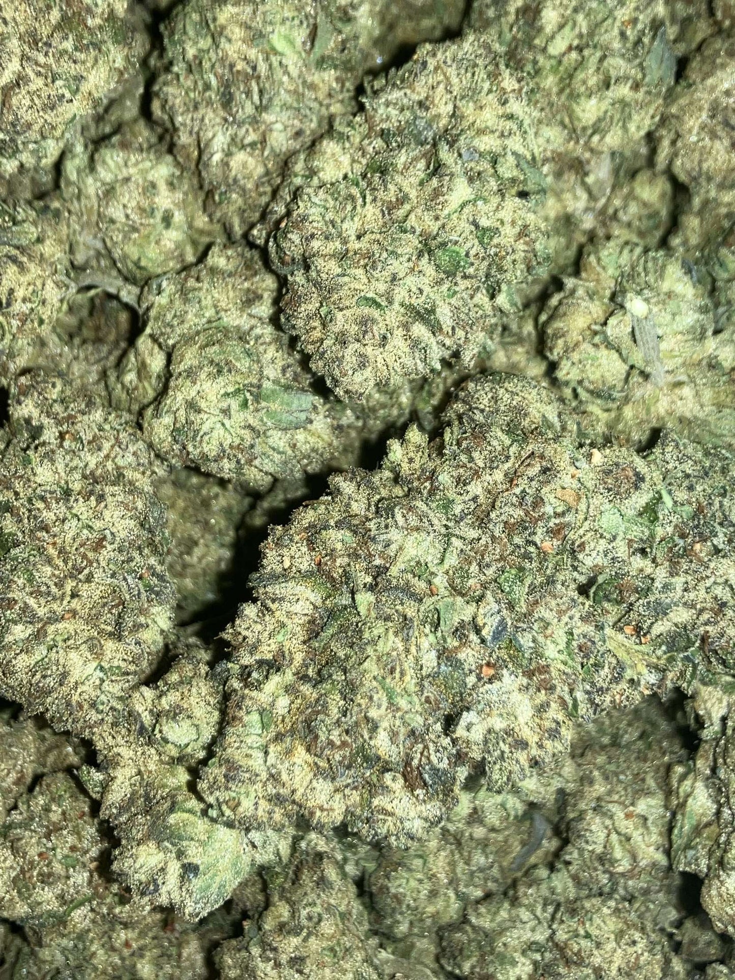 Donkey Butter
