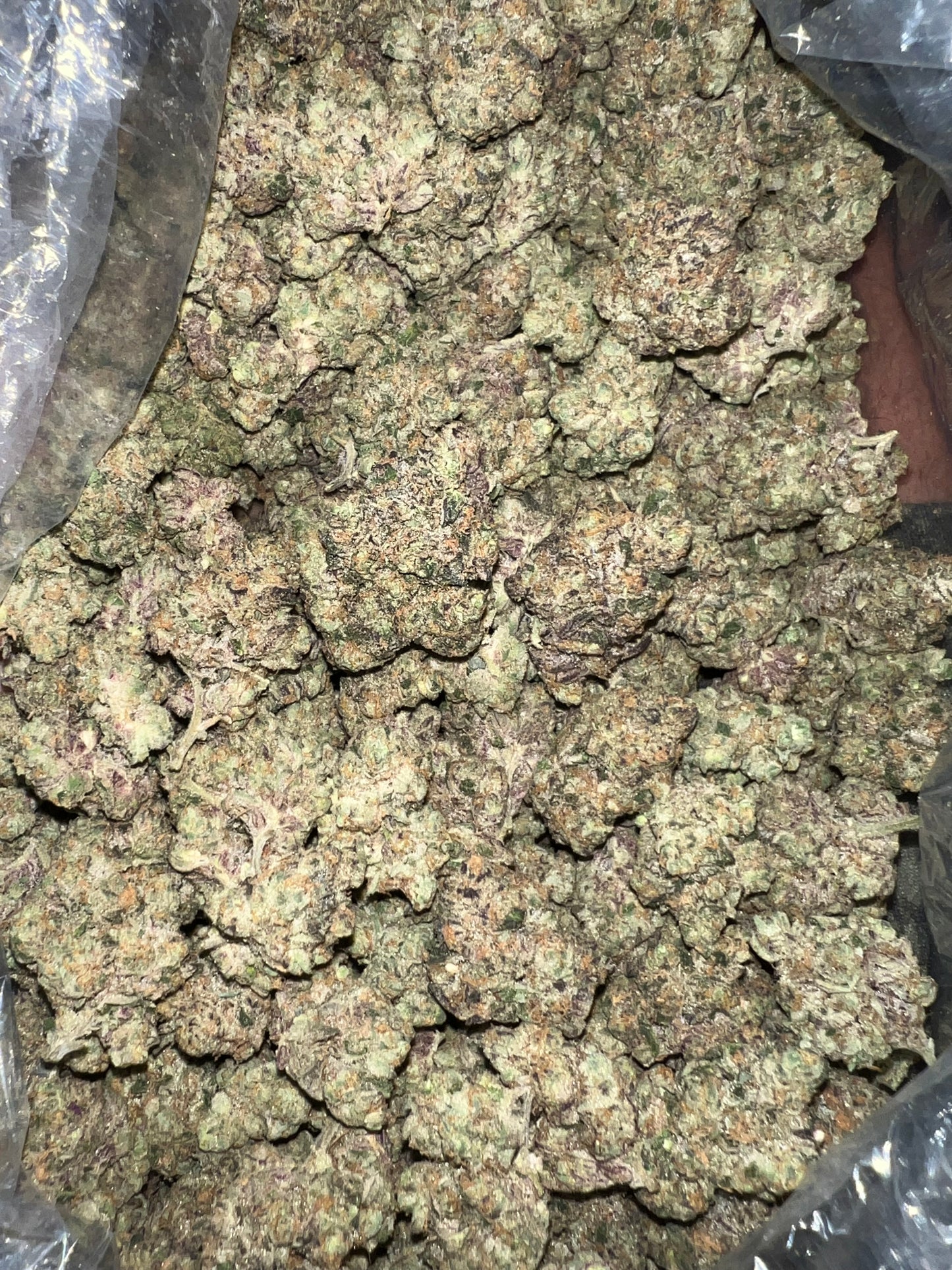 Indoor Gorilla Glue 29g