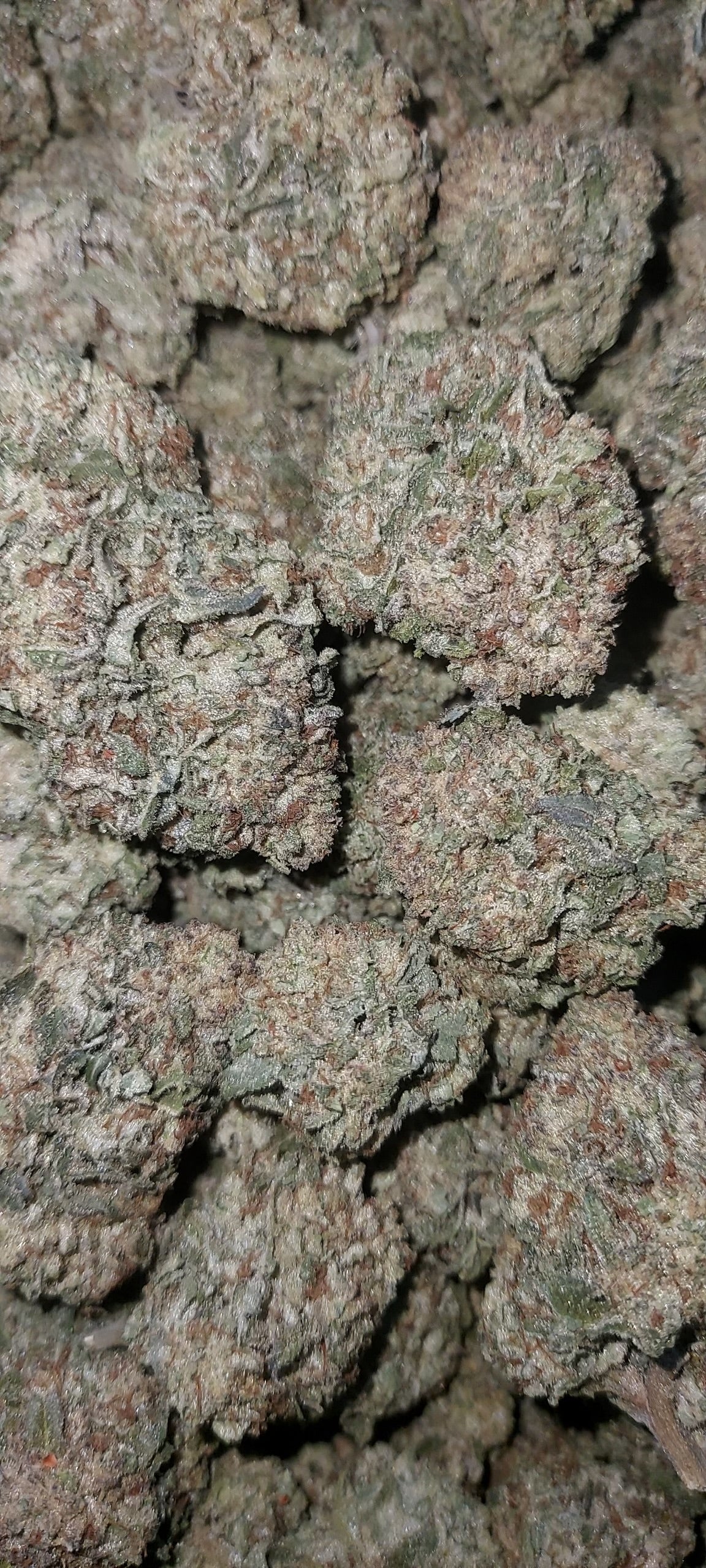 Greenhouse Wedding Cake 29g