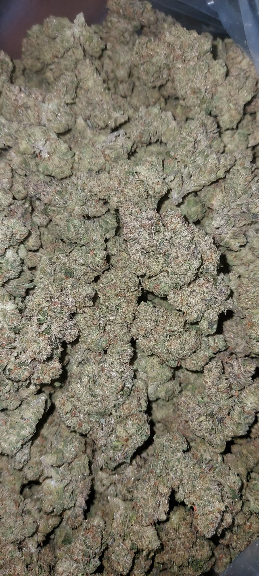Lemon Cherry Gelato